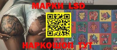 дмт Будённовск