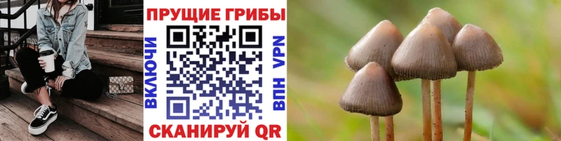 Псилоцибиновые грибы Magic Shrooms  Черкесск 