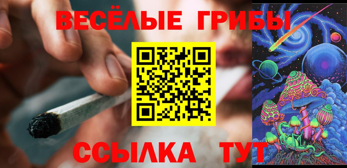 Псилоцибиновые грибы Cubensis Черкесск