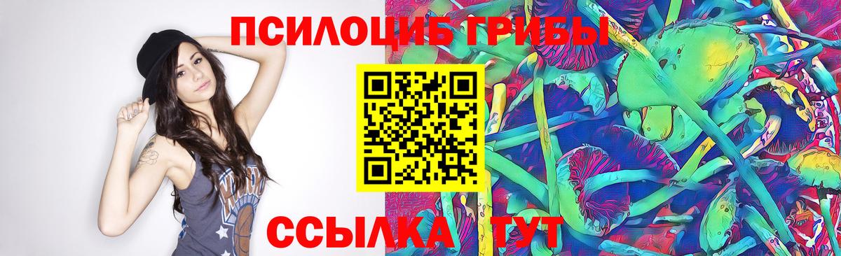 Черкесск  Псилоцибиновые грибы мицелий  Псилоцибиновые грибы MAGIC MUSHROOMS  продажа наркотиков  Вход с VPN 